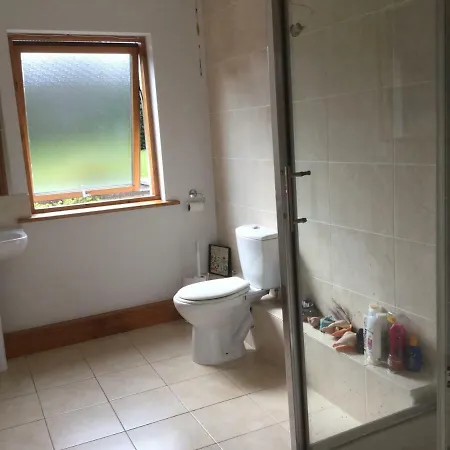 Large 5 Bedroom In Shankill South 度假居