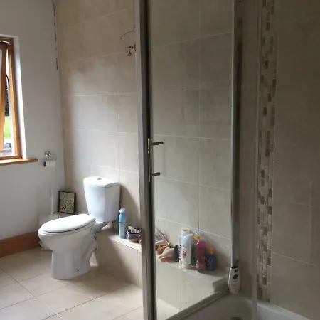 度假居 Large 5 Bedroom In Shankill South 都柏林