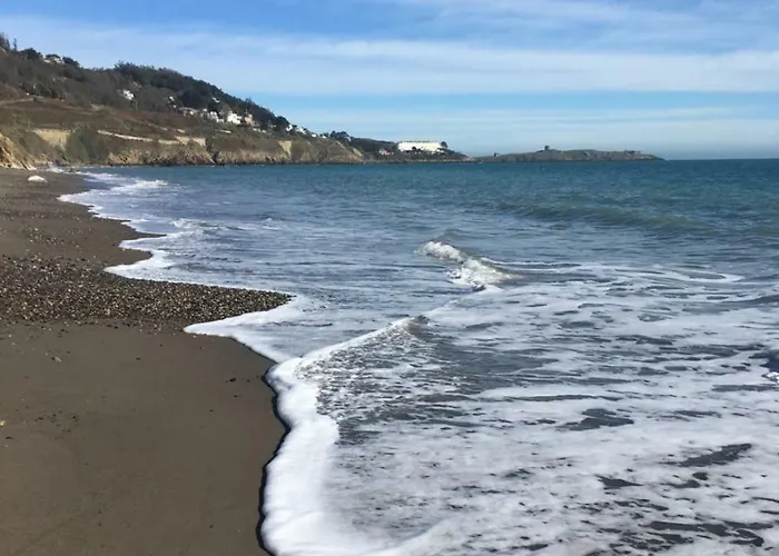 Large 5 Bedroom In Shankill South *