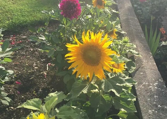 Large 5 Bedroom In Shankill South