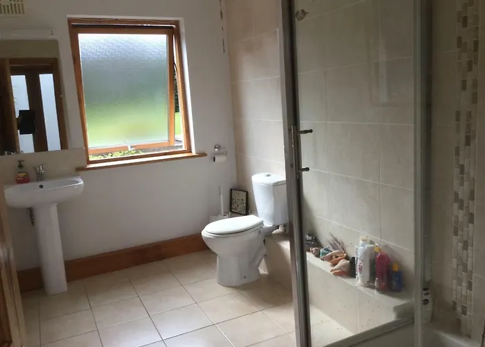 Large 5 Bedroom In Shankill South Tatil Evi