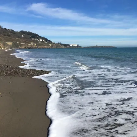 Large 5 Bedroom In Shankill South *