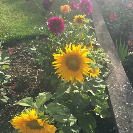 Large 5 Bedroom In Shankill South